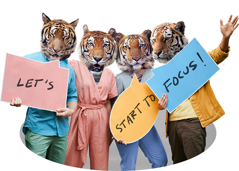 Team Tiger Loop Advanced: Building Focus Meetings - Focus Tiger