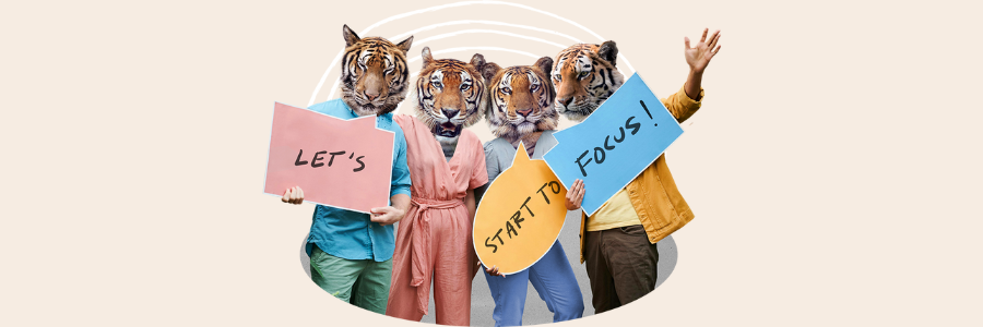 Salomaa Group Case Study