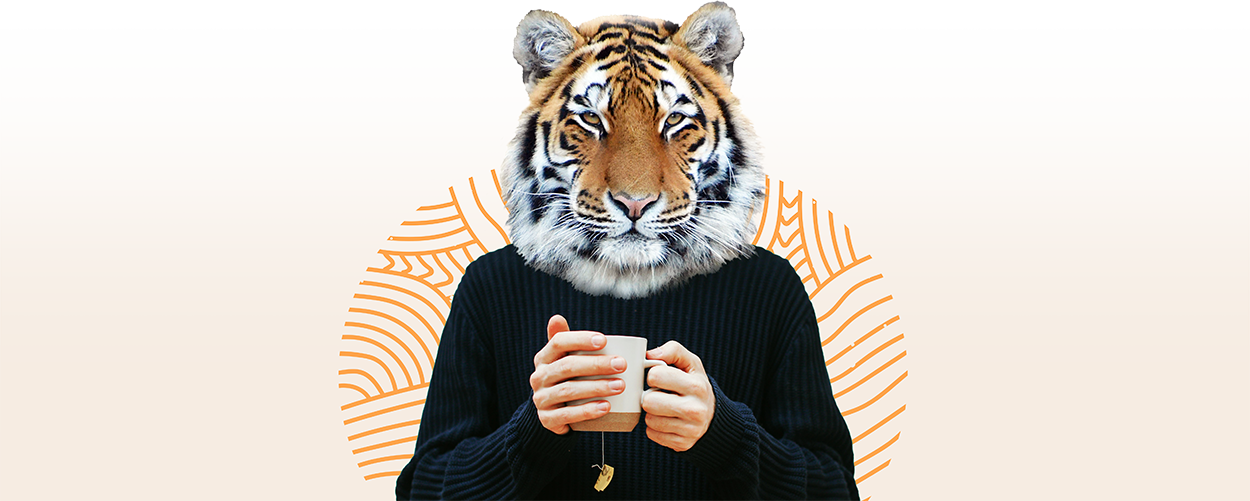 Summer Challenge: Slow Dopamine Summer