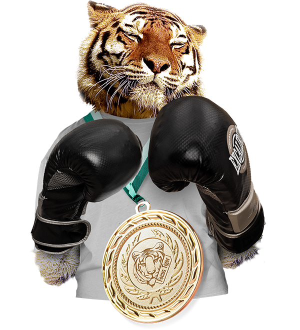 Tiger with boxing gloves on.