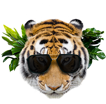 Focus-Tiger-avatar