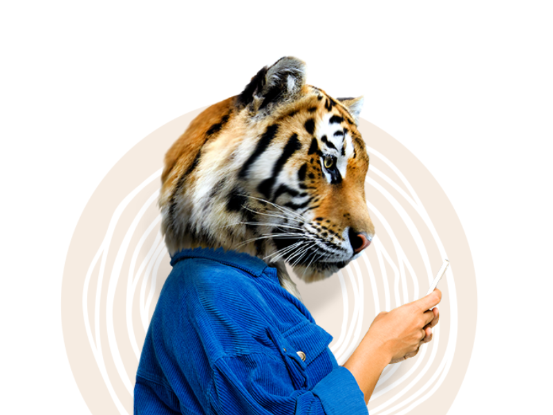 How Seeburger’s Innovative Integrators Became Focus Tigers