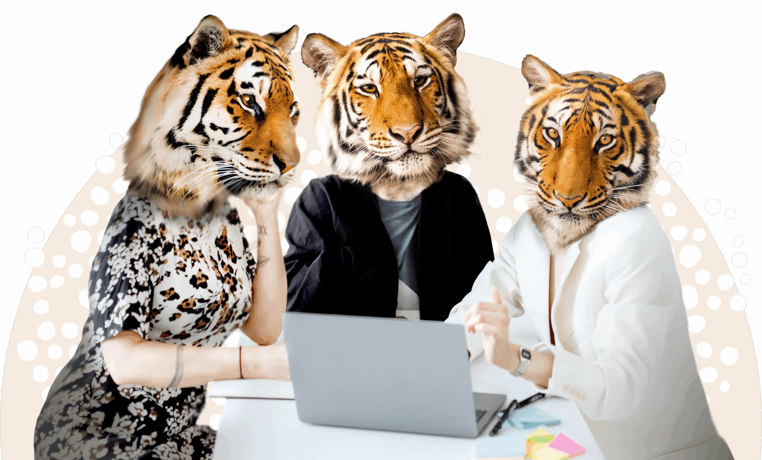 We Are Hiring an Account Executive To Join Our Ambitious Tiger Pack