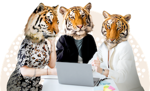New Tigers Have Joined the Pack